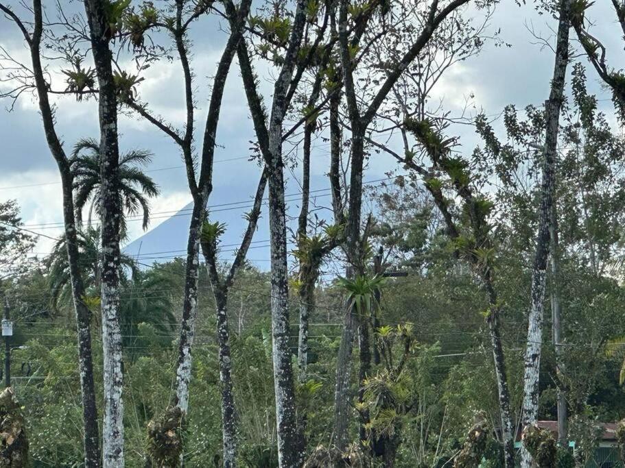 Casa Roble Fortuna La Fortuna Buitenkant foto