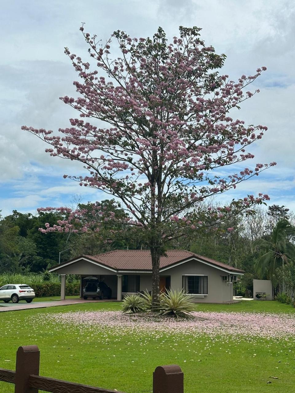Casa Roble Fortuna La Fortuna Buitenkant foto